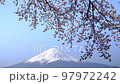 Mt. Fuji and Sakura Kawaguchiko 97972242