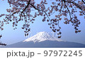 Mt. Fuji and Sakura Kawaguchiko 97972245