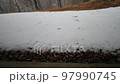 Thawing drops 97990745