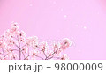 桜吹雪の動画素材 98000009
