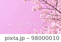 桜吹雪の動画素材 98000010