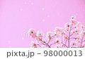 桜吹雪の動画素材 98000013