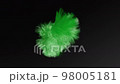 Abstract Green Hair Animated Object on Black 98005181