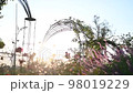 rose garden and sunset 98019229