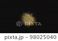 Abstract Golden Hair Animated Object on Black 98025040