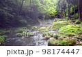 fantastic clear stream 98174447