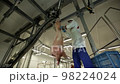 Butcher is using sharp knife and cutting the raw pig on two halves 98224024