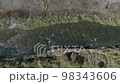 日本河流可能出現在國家地理 98343606