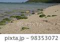 Calm beach and green stones of Aragusuku coast 98353072