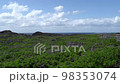 View of the rocky area near Toriike Pond on Irabu Island and the East China Sea 98353074