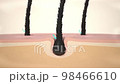 Hair care, Animation Nourish hair action of shampoo or serum. Repair damaged hair. 3d Animation. 98466610