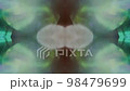 Smooth colorful overlay. Natural light metamorphoses. Light shining in dark space. 4k prores. 98479699