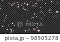 Falling petals loop transparent pink 98505278