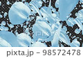 Petal wipes flying from the back to the front White transparent 98572478