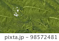 Leaf wipes flying from the back to the front green transparent 98572481