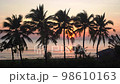 Silhouette of a coconut trees with beach and twilight sunset in background. Relaxing and vacation feel. Thailand. Phuket. Chantaburi. 98610163