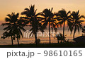 Silhouette of a coconut trees with beach and twilight sunset in background. Time-lapse sunset. Relaxing and vacation feel. Pan shot. Thailand. Phuket. Chantaburi. 98610165