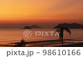 Silhouette of a coconut trees with beach and twilight sunset in background. Time-lapse sunset. Relaxing and vacation feel. Pan shot. Thailand. Phuket. Chantaburi. 98610166
