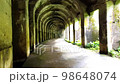 Strolling through the old tunnel Part 1 98648074