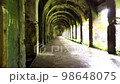 Strolling through the old tunnel Part 2 98648075