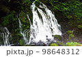 Soothing at the misty waterfall Part 2 98648312