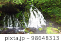 Soothing at the misty waterfall Part 2 98648313