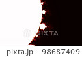 Zoom movie of the Mandelbrot set of fractals 98687409