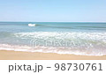 Three Birds Flying Over the Ocean waves Sunny Day 98730761