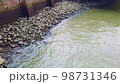 Very Light Waves Splasing On A Bed Of Rocks 98731346