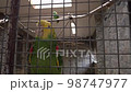 amazon parrot with yellow neck closeup. Tropical bird video 98747977