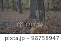 The boy throws up a huge armful of autumn leaves and falls with pleasure. Slowmo 98758947