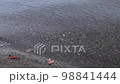 Calm waves crashing on the shore of a lake 98841444