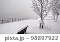 新潟市信濃川下雪 98897922