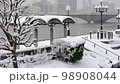 雪中的信濃川沿岸風光 98908044