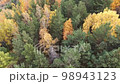 Aerial view of rural road with black car in yellow and orange autumn forest 98943123