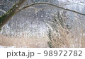 A snowy landscape falling deeply on a field in the mountains 98972782