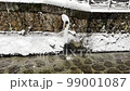 Snow water also flows into the river through pipes. 99001087
