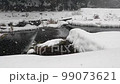 Snow falling on a rural river 99073621