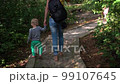 Mother and son walking on stone paved healthy path in forest. Exploring feelings on feet. Natural massage on special trail. Disease prevention. Camera movement follow shot with gimbal. 99107645