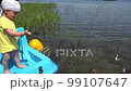 Little boy feeding ducks standing on catamaran. Son feed water birds. Gimbal motion shot. 99107647