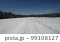 Togariishi Ruins 99108127