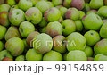 Lots of green and red apples immediately after picking 99154859