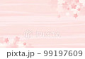 桜色の背景に桜の花が開いて回転するイメージ　水彩風 99197609