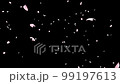 桜の花びら舞うイメージ（透過） 99197613