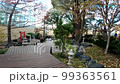 Daytime view of the Japanese garden of Amarillo Botanical Gardens at Texas 99363561
