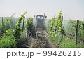 Tractor processes grape plantation spraying aerial view 99426215