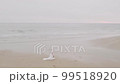 Wedding couple walking on the beach, view from drone Wedding couple walking on the beach, view from drone 99518920