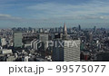 ビル建物、都市風景素材、ビジネス、東京　新宿　都庁からの眺望、超高層ビル群、青空、上昇 99575077