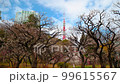 From Tokyo Tower Shiba Park From Tokyo Tower Shiba Park 99615567