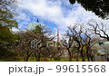Tokyo Tower and Shiba Park Spring Tokyo Tower and Shiba Park Spring 99615568